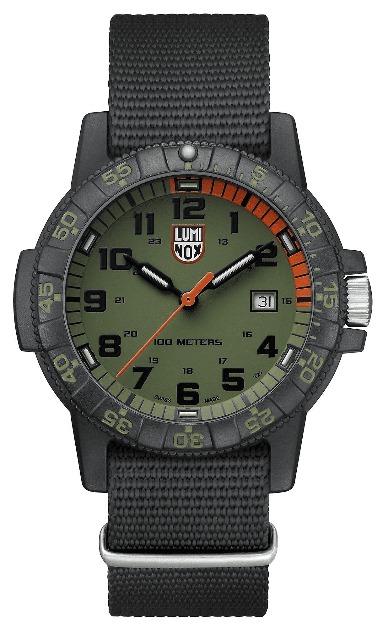 Luminox LEATHERBACK SEA TURTLE GIANT 0320 SERIES men's watch