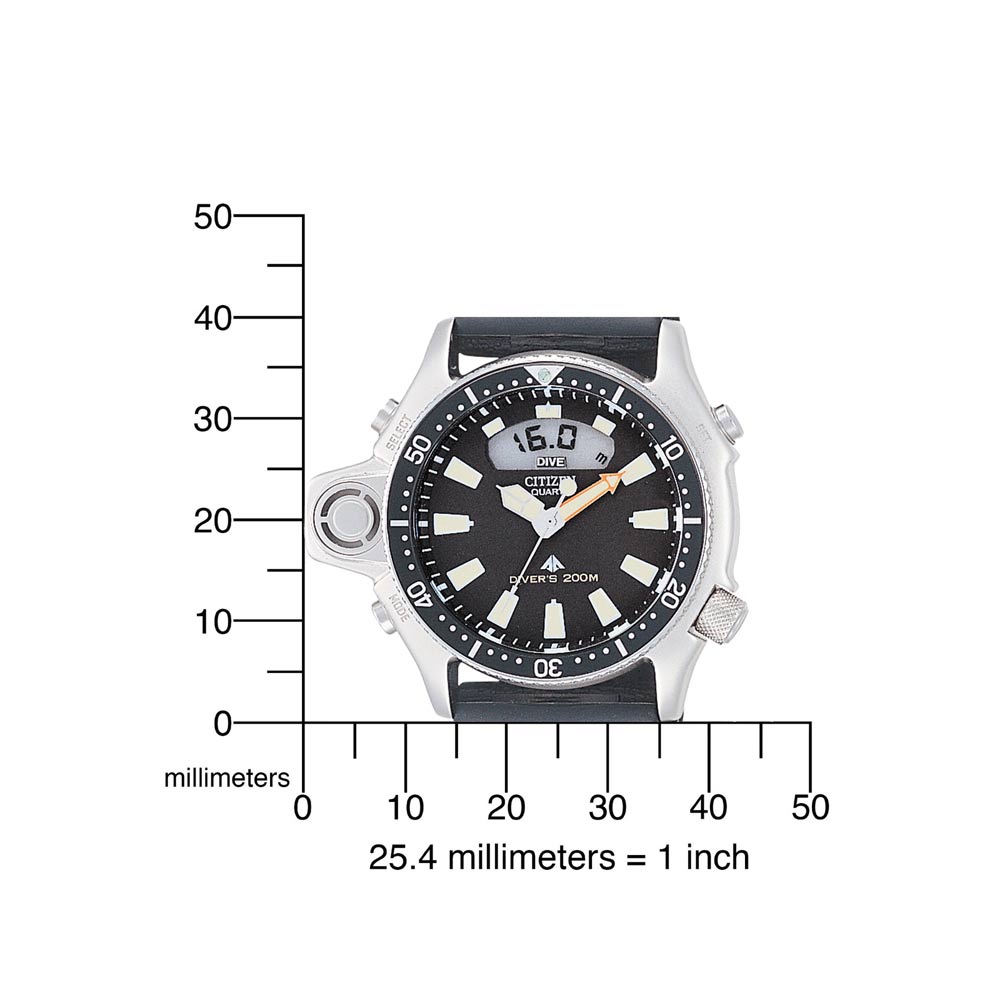 Citizen Promaster JP2000-08E men's watch