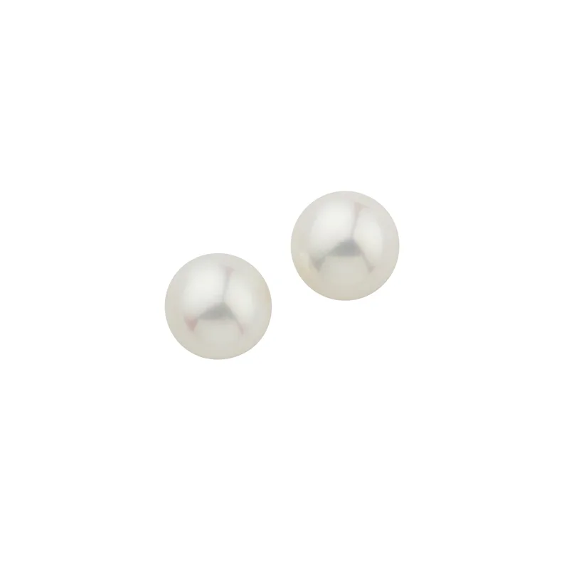 CEM 585/- Stud earrings 7.5 - 8.0 mm BOS502373