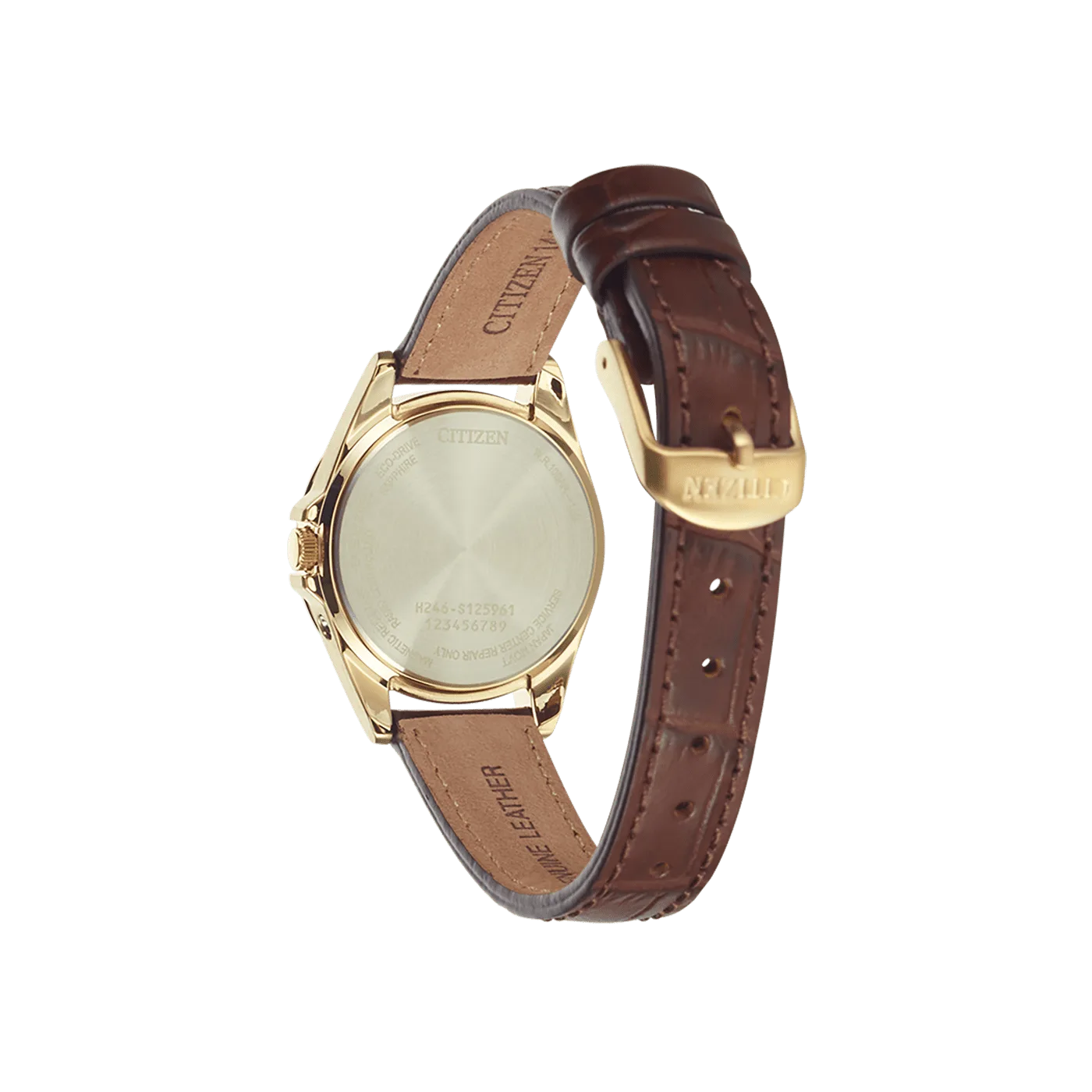 Citizen Eco-Drive Radio Controlled women's watch EC1183-16A