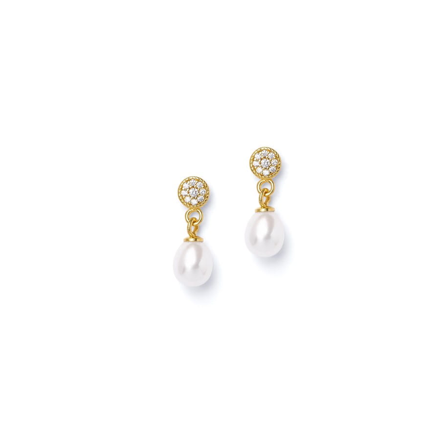 Bernd Wolf Taube earrings 1500007656