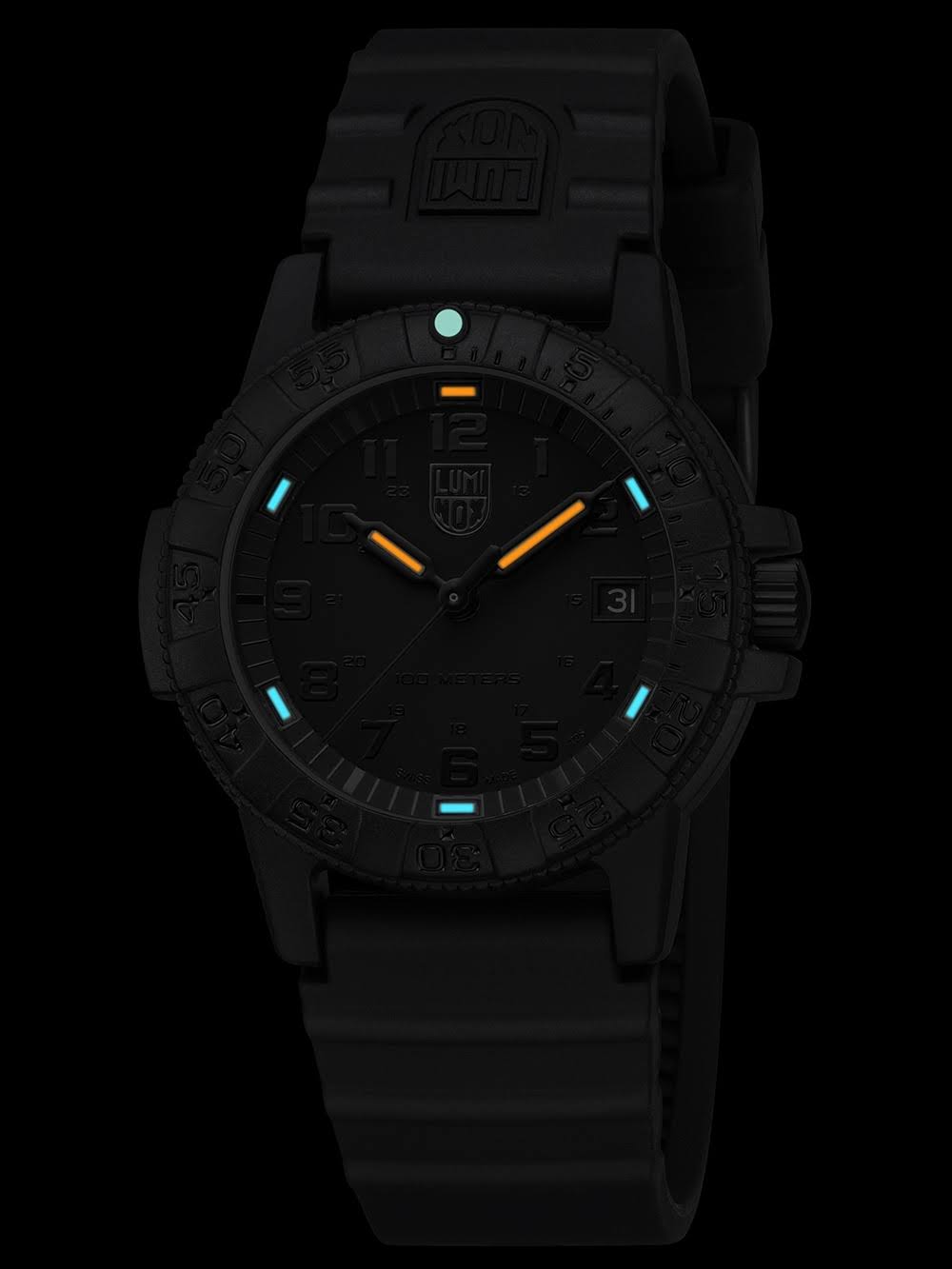 Luminox LEATHERBACK SEA TURTLE 0300 SERIES men's watch