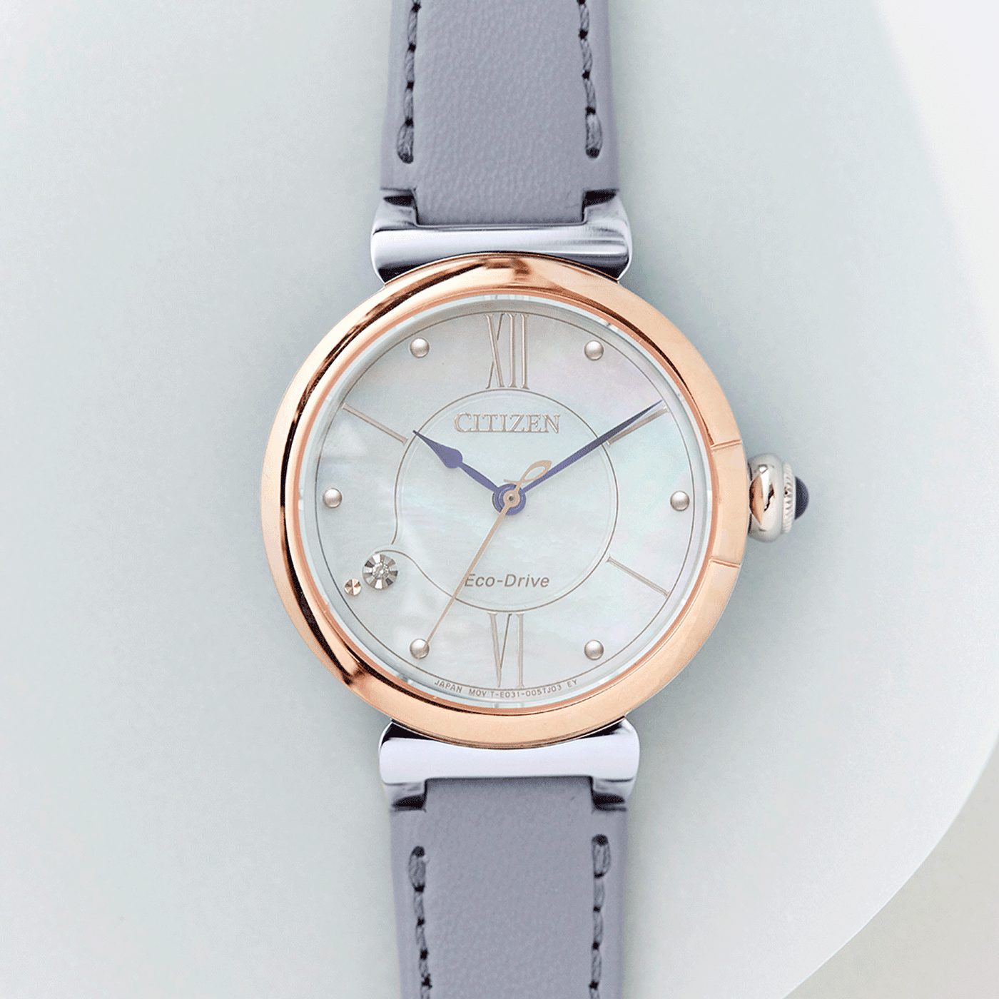 Citizen Eco-Drive Women's Watch EM1074-15D