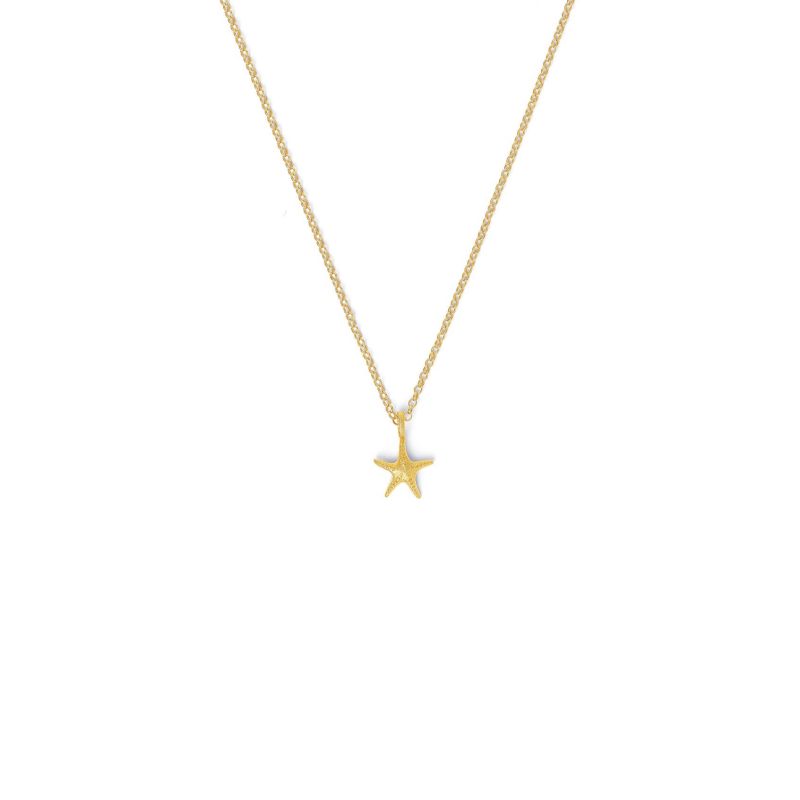 Bernd Wolf Seastar Maritime Design Line Necklace, Necklace with Pendant, Sterling Silver 925, 24-Karat Gold Plated