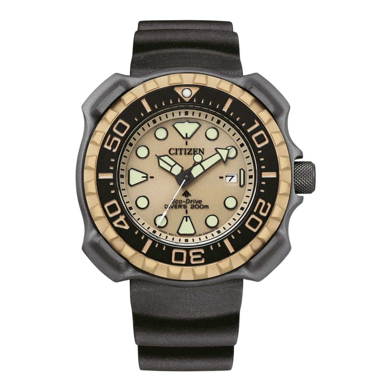 Citizen Promaster men's watch BN0226-10P