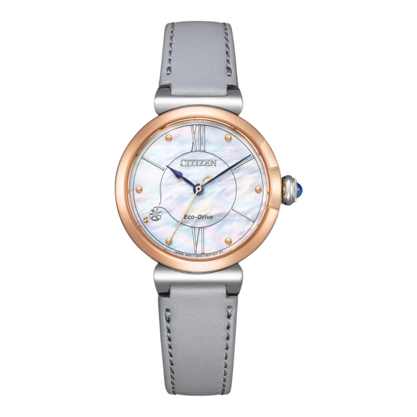 Citizen Eco-Drive Women's Watch EM1074-15D